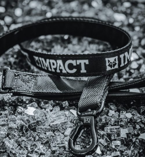 A strong and durable Impact dog leash displayed on a bed of gravel, showcasing quality design.